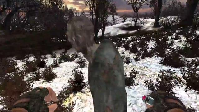 Воюем!|S.T.A.L.K.E.R.: Ворон.Смотр.| смотреть онлайн
