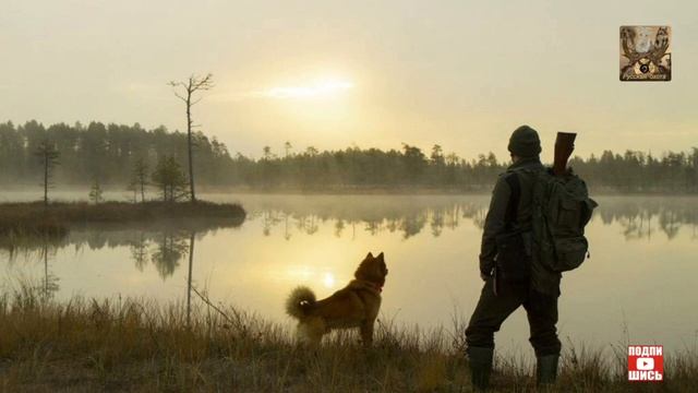 Охота на сельхоз землях вблизи сел и в зелёных зонах предложили разрешить