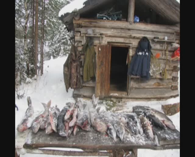 02-04. 2014 года.Унаксозеро смотреть онлайн