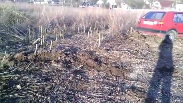абф рвет корчи смотреть онлайн