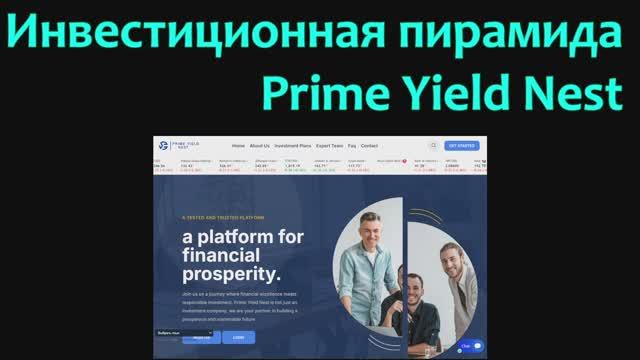 Инвестиционная пирамида Prime Yield Nest смотреть онлайн