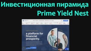 Инвестиционная пирамида Prime Yield Nest
