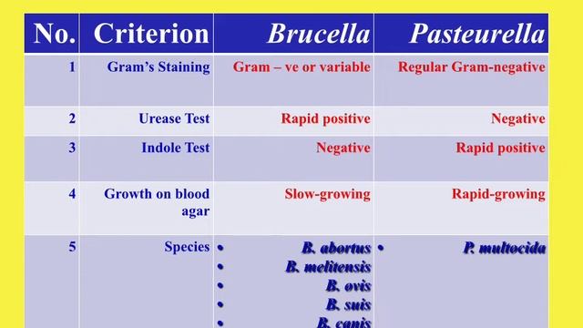 سكشن عملى: Gram-negative coccobacilli смотреть онлайн