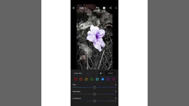 LIGHTROOM TUTORIAL : How to Edit Photo in Lightroom app || Moody Flower || Dark Black || смотреть онлайн