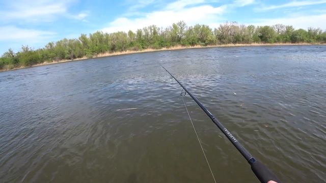 Рыбалка с друзьями!!!! Наловили ПОЛНЫЙ садок!!!