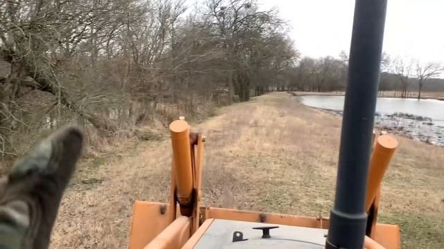 Blasting Beavers! смотреть онлайн