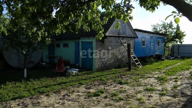 11901638 смотреть онлайн
