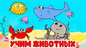 Живодные для малышей - Учим животных - Развивающие мультики для детей