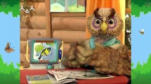 Утро в Шишкином Лесу. Экология. Птицы