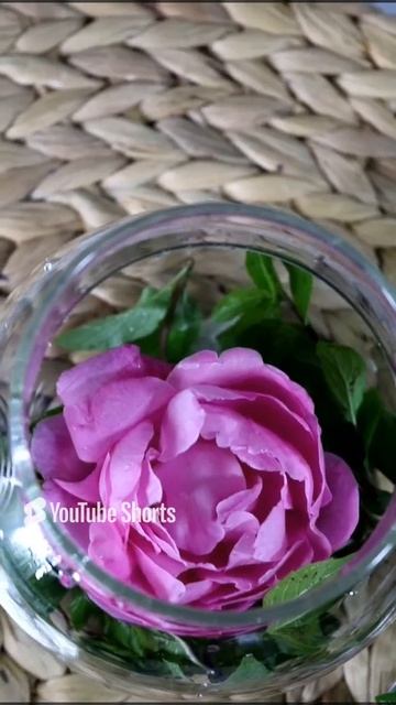 ЧАЙ ИЗ ЧАЙНОЙ РОЗЫ🌹 И МЕНТОЛОВОЙ МЯТЫ🌿 смотреть онлайн