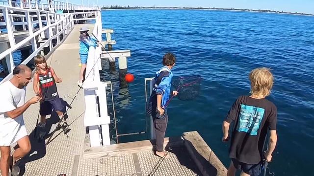 18 Hours Only Using Live Bait On A Pier смотреть онлайн