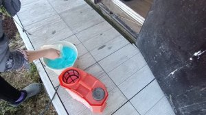 Весенняя обработка сада