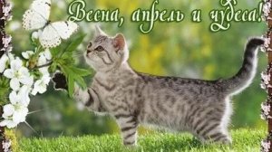 С  весенним апрелем! 1 апреля! Музыкальная открытка поздравление.