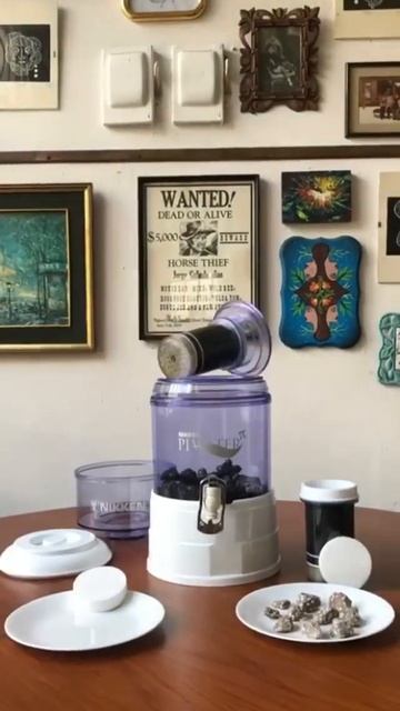 PURIFICADOR DE AGUA NIKKEN - PIWATER