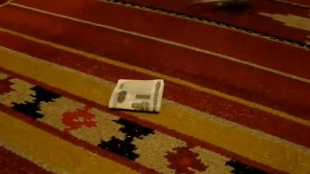 Попугайчик-банкир смотреть онлайн