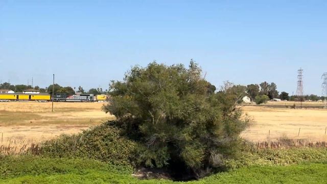 Pacing Union Pacific Big Boy #4014 Steam Train 2024 Westward Bound Tour Towards Sacramento (7/11/24 смотреть онлайн