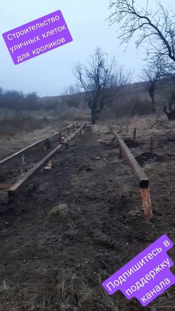 Строительство уличных клеток для кроликов смотреть онлайн