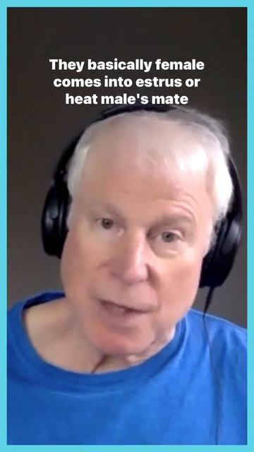 Humans a unique species in how we mate, says David Buss. #evolution #davidbuss #science смотреть онлайн