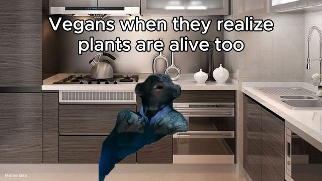 Oh no monkey memes compilation | Bad Ape “OH NO” Meme смотреть онлайн