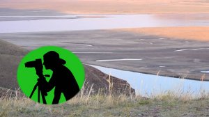 Успокаивающие звуки степи / Кузнечики на поле / Звуки природа для отдыха, сна и медитации