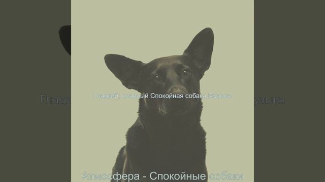 Звуки (Спокойные собаки) смотреть онлайн