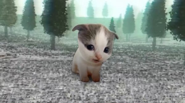 😥ВЫЙДЕТ ЛИ KinitoPET 2？