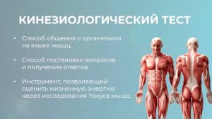 Как научиться пользоваться кинезеологическим тестом