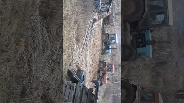 Лтз буксирует мтз смотреть онлайн