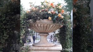 Просто красиво.Цветы в вазоне.