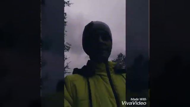 VLOG: ИДУ гулять. Dasha Shkil.