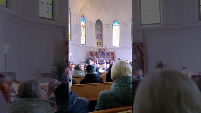«Симфония весны. Орган - оркестр».Евангелическо-лютеранский кафедральный собор святых Петра и Павла смотреть онлайн