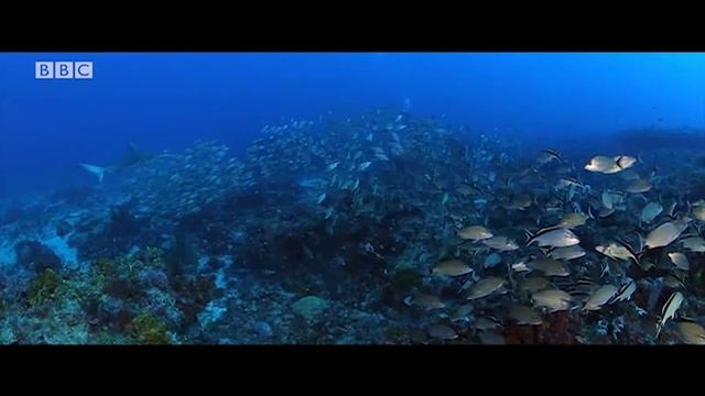 Wider World3_Unit2 BBC Culture – Severe weather (Part 1) смотреть онлайн