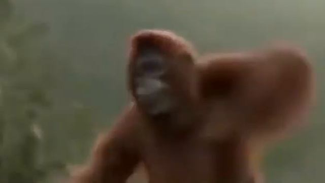 Обезьяна чи чи чи смотреть онлайн