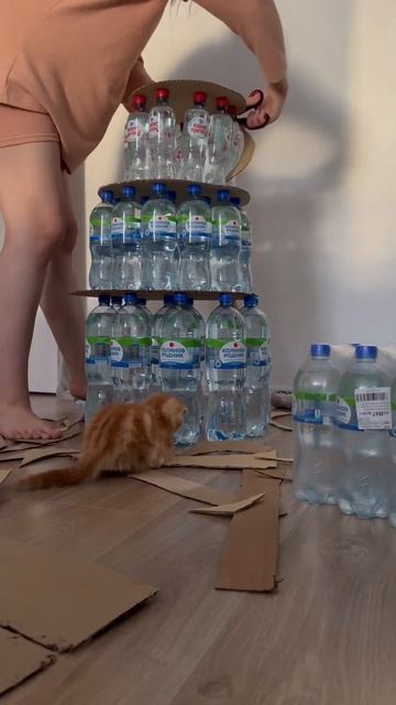 Сюрприз мужу #елка #нг #новыйгод #минералка #diy #творчество #сюрприз #отношения #муж