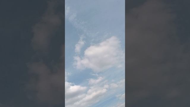 объединение каналов гусь обнимусь и Денчик.