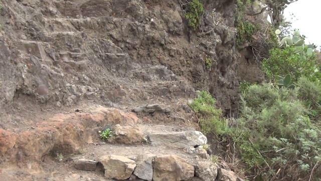 Анага. Реликтовые леса. Бенихо.