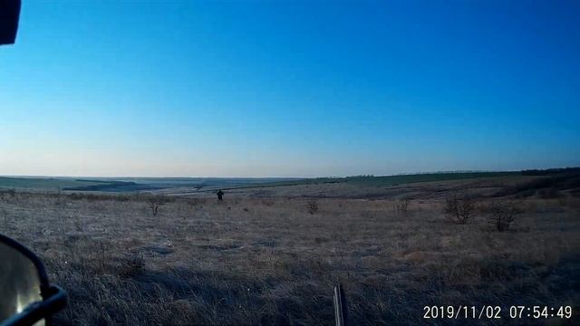 Охота на зайца. Открытие охоты 2019 смотреть онлайн