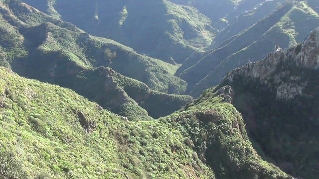 Тенерифе. Анага. Чиманада.