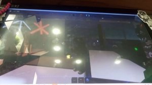 👍🏻Roblox👍🏻