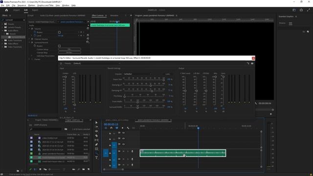 how to add reverb and echo to audio in premierepro смотреть онлайн