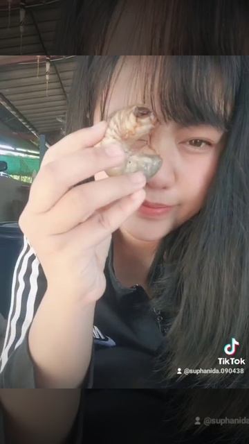 หนอนด้วงกว่าง смотреть онлайн