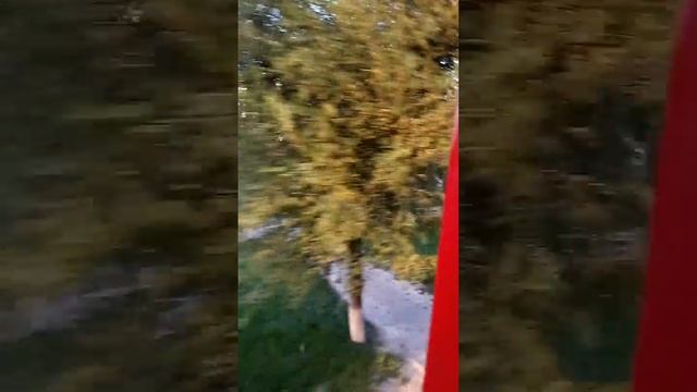 Шымкент зелёный город смотреть онлайн
