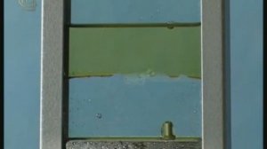 Опыты по физике. Условие плавания тел в жидкости