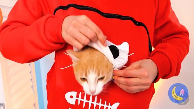 Fantastic Digital Circus School Prep 🎪📚 Best School Crafts and DIY's 🎨✨ смотреть онлайн