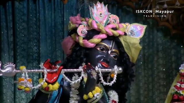 Mangal Arati Sri Dham Mayapur - June 24, 2022 смотреть онлайн