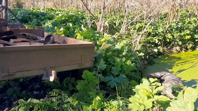 Коп металлолома 5 сентября 2021г. смотреть онлайн