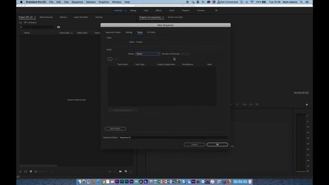 HOW TO SET UP A PREMIERE SEQUENCE смотреть онлайн