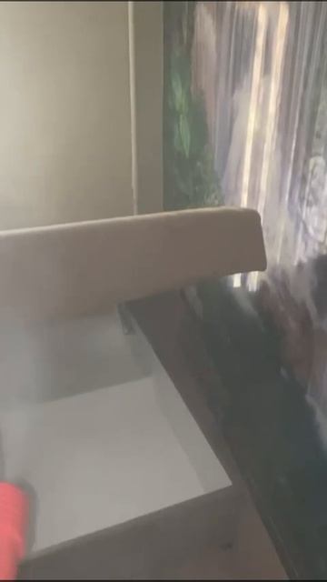 Нет клопам, тараканам, плесени, грызунам! Избавим на всегда от любых вредителей! Гарантия!