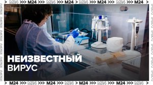 Обсуждаемый в соцсетях неизвестный вирус может быть микоплазменной инфекцией - Москва 24