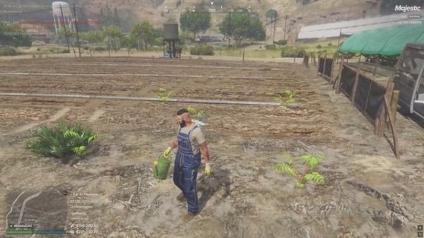 131773  207279 12.05 31.03.2025